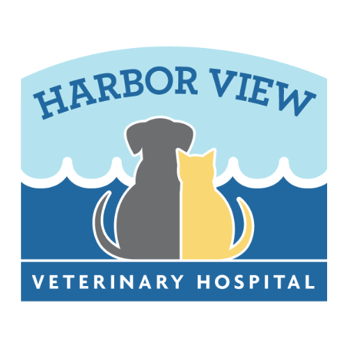 Baltimore Veterinary Jobs - Harbor View Veterinary Hospital