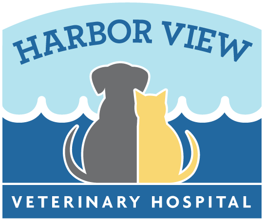 Harbor View Veterinary Hospital, Canton 