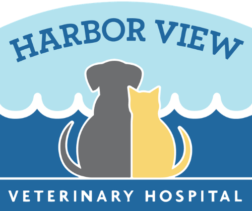 Harbor View Veterinary Hospital