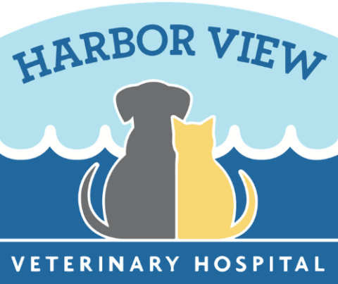 Harbor View Veterinary Hospital logo