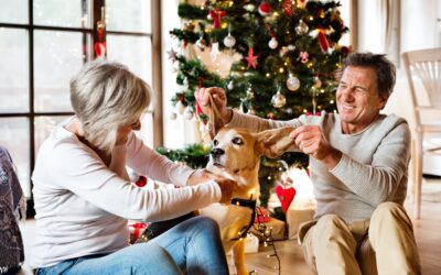 Wishing Senior Pets a Delightful Holiday Season: Guidelines for Celebrating with Joy